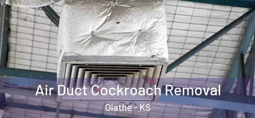  Air Duct Cockroach Removal Olathe - KS