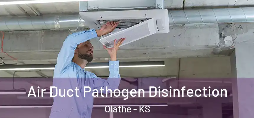 Air Duct Pathogen Disinfection Olathe - KS