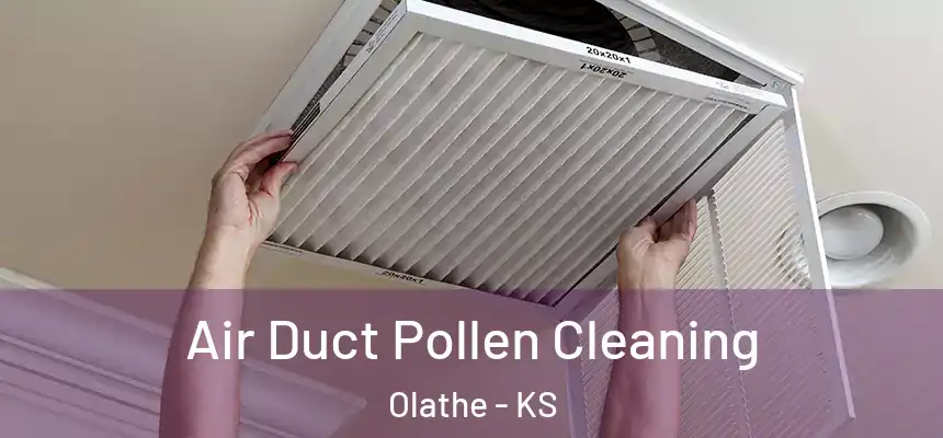  Air Duct Pollen Cleaning Olathe - KS