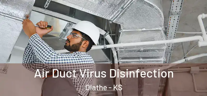 Air Duct Virus Disinfection Olathe - KS