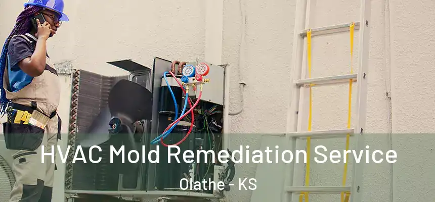  HVAC Mold Remediation Service Olathe - KS