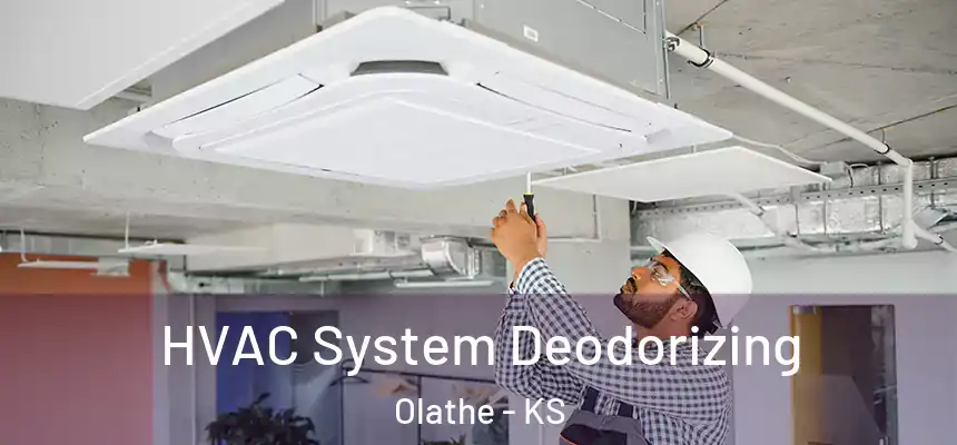 HVAC System Deodorizing Olathe - KS