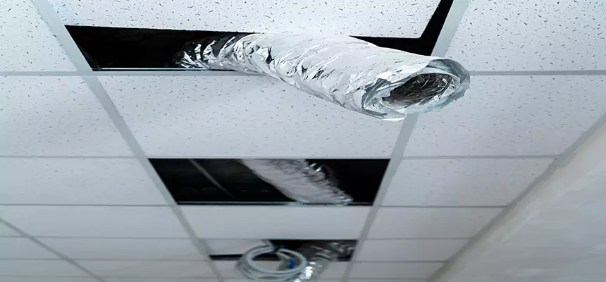 Our Air Duct Pet Hair Removal Services in Olathe, KS