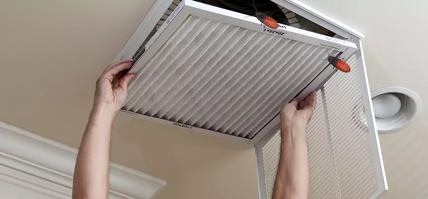 Our Insect Removal from Air Ducts Services in Olathe, KS