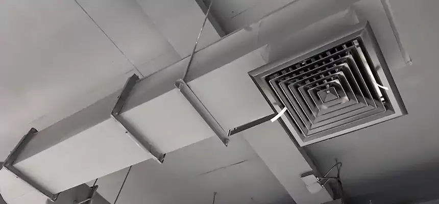 Our Pest Removal From Ducts Services in Olathe, KS