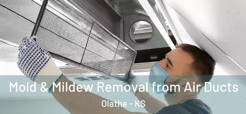  Mold & Mildew Removal from Air Ducts Olathe - KS
