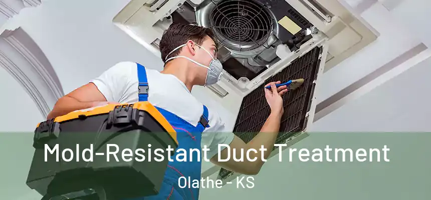  Mold-Resistant Duct Treatment Olathe - KS
