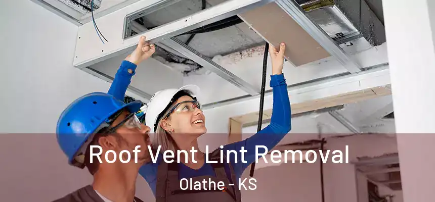  Roof Vent Lint Removal Olathe - KS