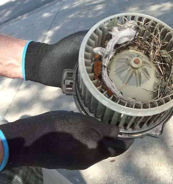 About Air Duct Mice Removal in Olathe, KS