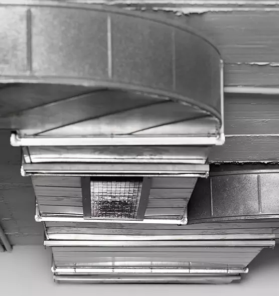 Professional Air Duct Pet Hair Removal in Olathe, KS