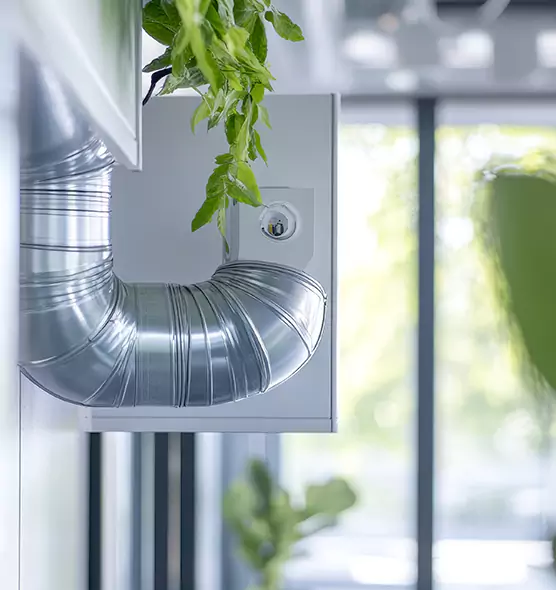 Professional Eco-Safe Dryer Vent Cleaning in Olathe, KS