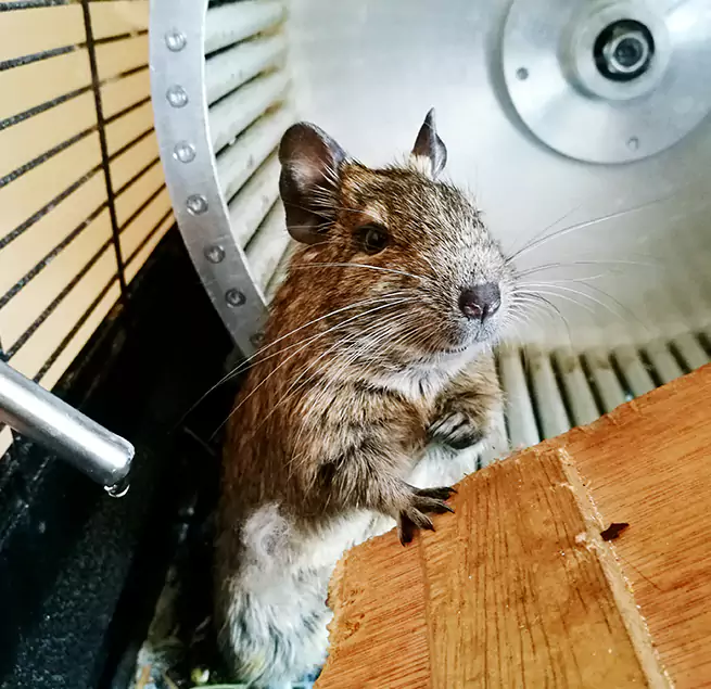 Why Homeowners & Businesses Trust Us Olathe, KS