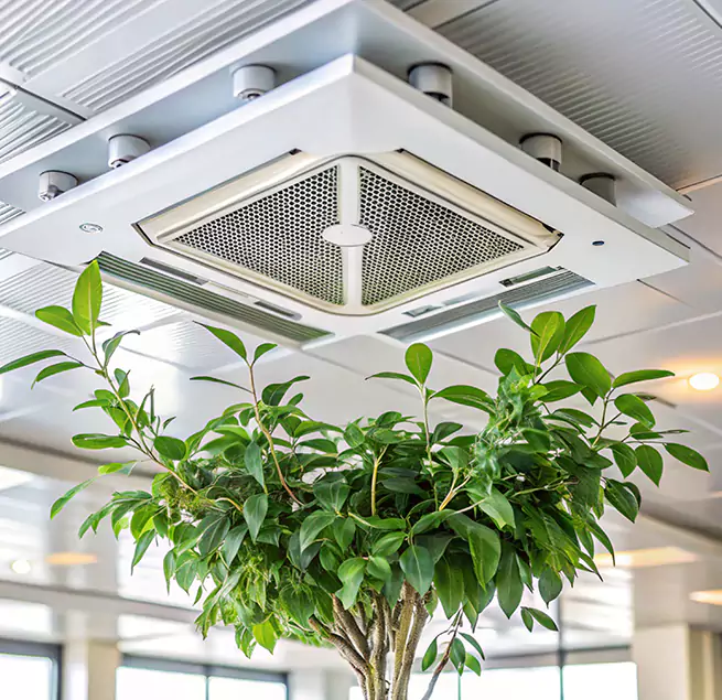 Why Homeowners & Businesses Trust Us in Olathe, KS