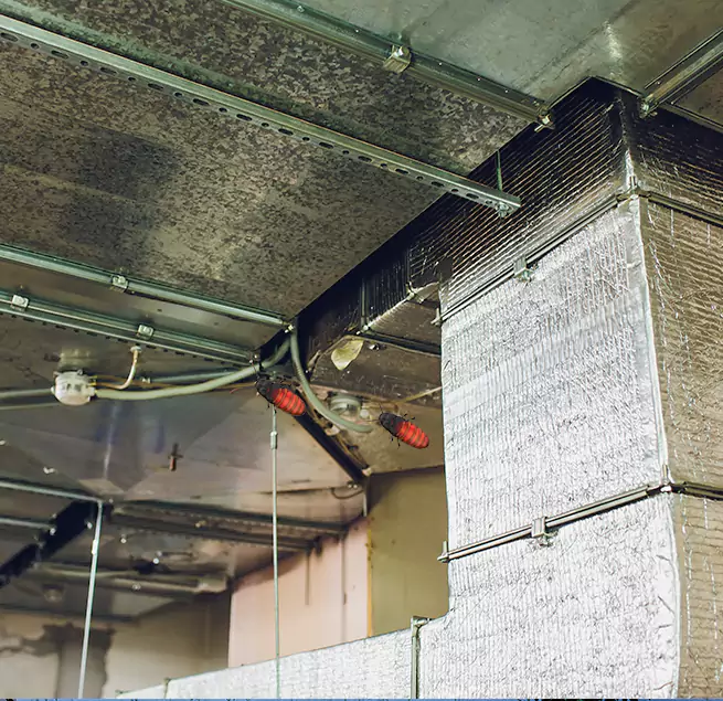 Why Homeowners & Businesses Trust Us Olathe, KS?